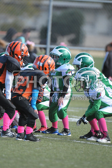 BDAYF_10-19-14_1073