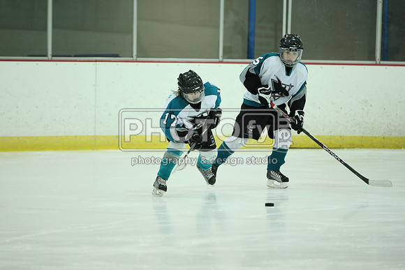 ICEPAL_2-20-12_1029
