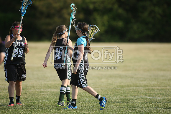 BYLT_05-16-15_01036