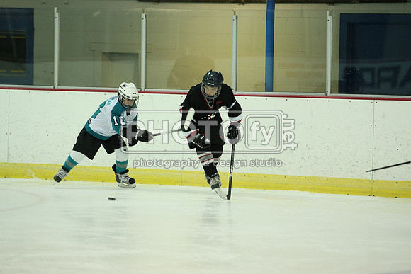 ICEPAL_2-20-12_1090