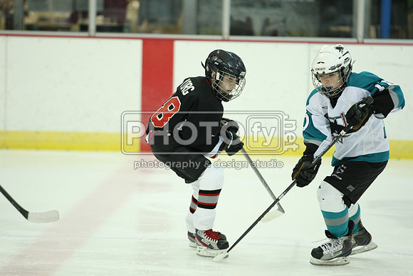 ICEPAL_2-20-12_1177