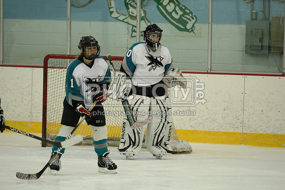 ICEPAL_2-20-12_1124