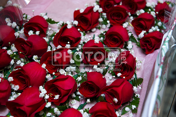 UNICO_3-24-12_0084