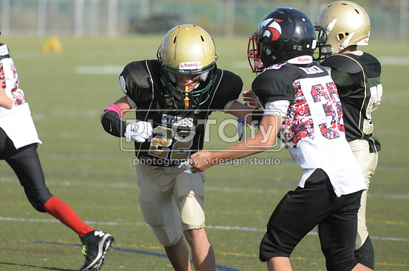 BMAYF_09-28-14_1531