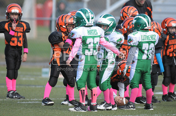 BDAYF_10-19-14_1006