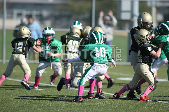 BDHS_10-20-13__1501