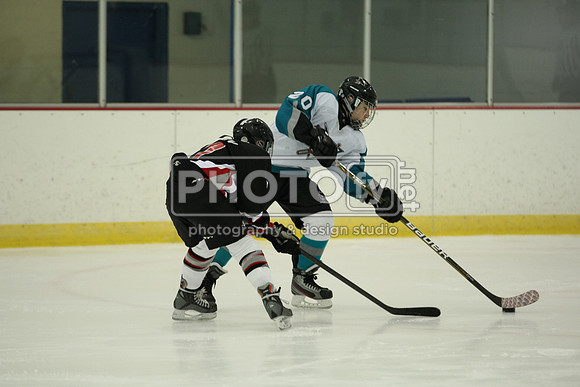 ICEPAL_2-20-12_1127