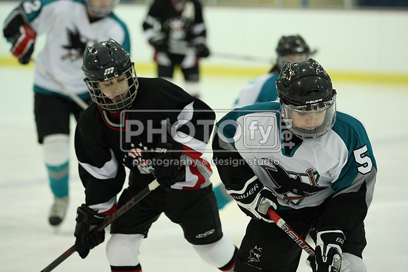 ICEPAL_2-20-12_1016