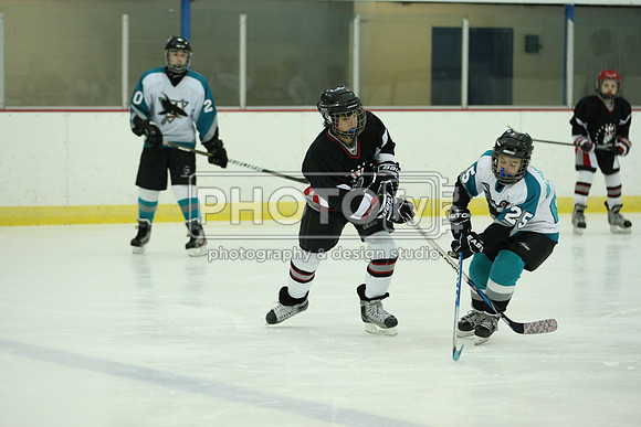 ICEPAL_2-20-12_1110