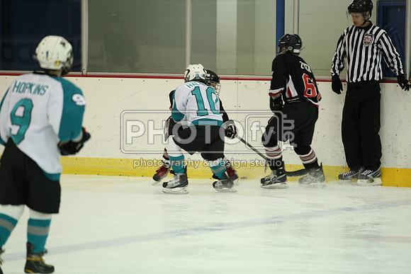 ICEPAL_2-20-12_1088