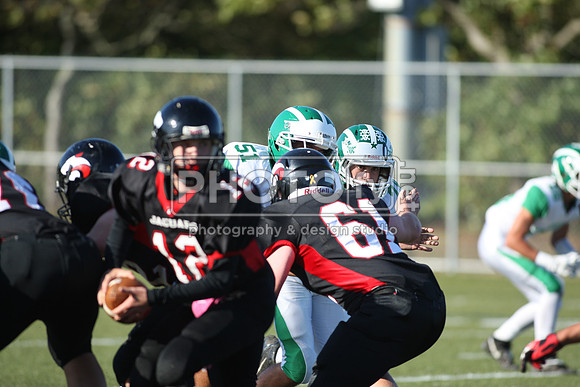 BDHS_10-6-14_1150
