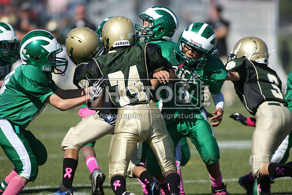 BDHS_10-20-13__2023