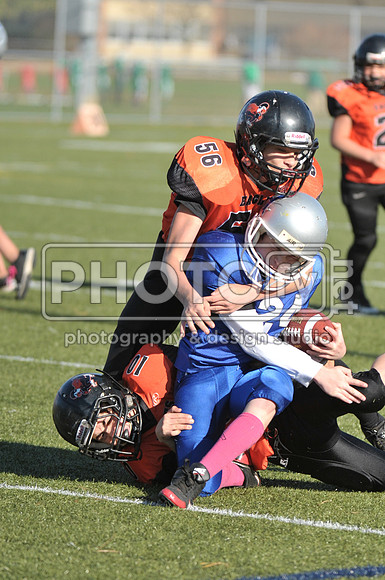 NJAYF_11-3-13_2231