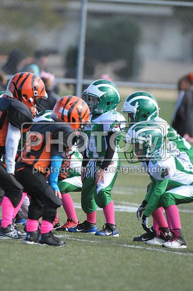 BDAYF_10-19-14_1072