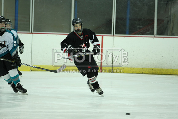 ICEPAL_2-20-12_1132