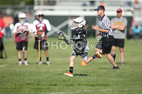 BLSWT_05-18-14_1993