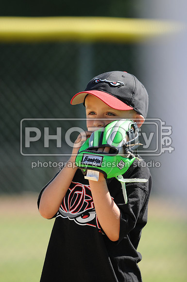 BTLL_6-1-13_1306