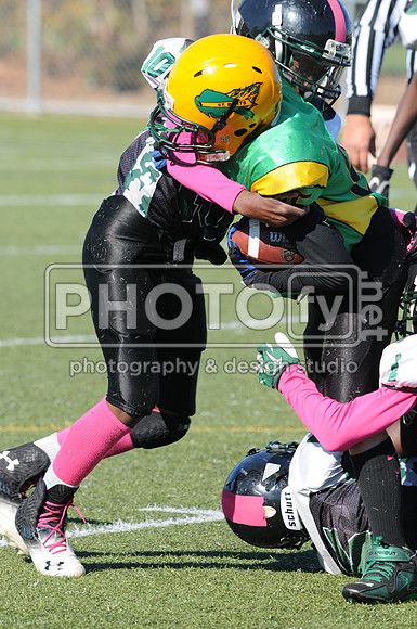 NJAYF_10-27-13__2015