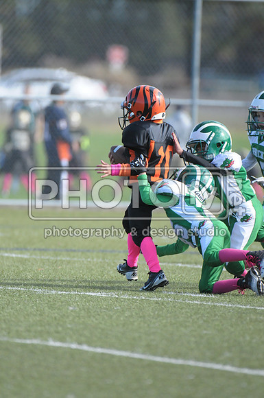 BDAYF_10-19-14_1095