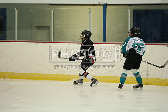 ICEPAL_2-20-12_1143