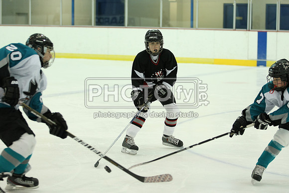ICEPAL_2-20-12_1152