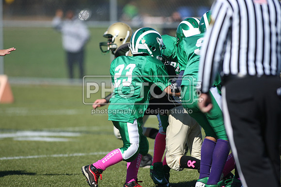 BDHS_10-20-13__2030