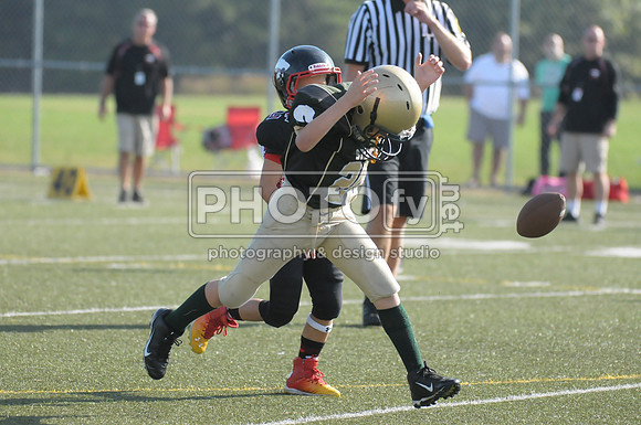 BMAYF_09-28-14_1470