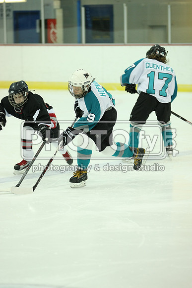 ICEPAL_2-20-12_1055