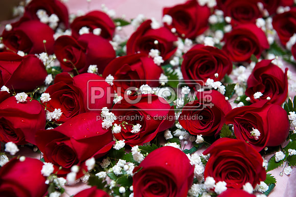 UNICO_3-24-12_0085