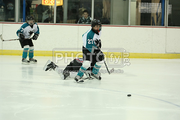 ICEPAL_2-20-12_1046