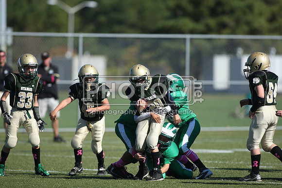 BDHS_10-20-13__2089