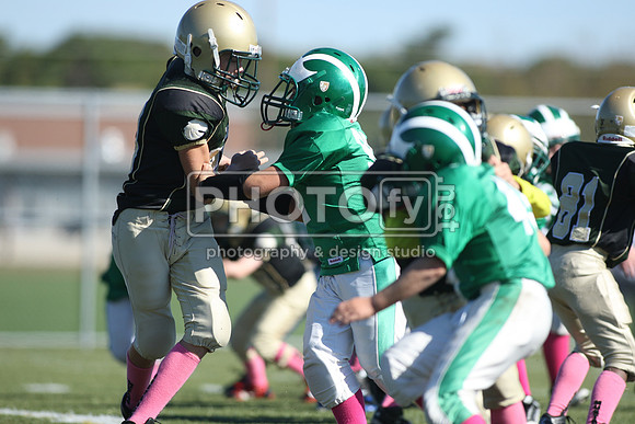 BDHS_10-20-13__1476